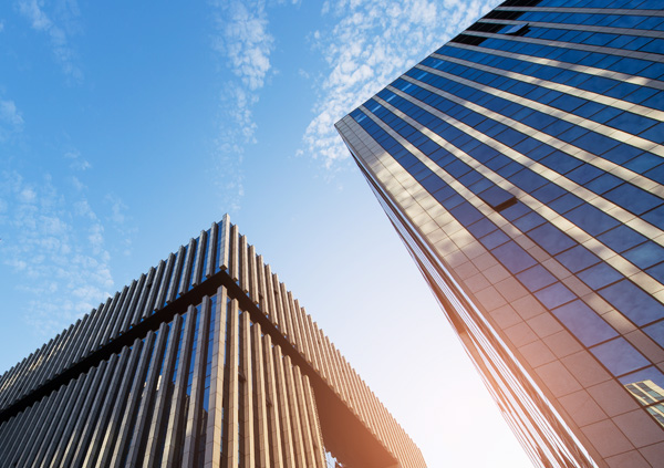 羽衣甘蓝粉、太原羽衣甘蓝粉、羽衣甘蓝粉、羽衣甘蓝粉、羽衣甘蓝粉、羽衣甘蓝粉、羽衣甘蓝粉。